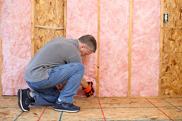 Best Insulation Maintenance and Repair in USA